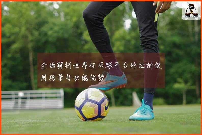 全面解析世界杯买球平台地址的使用场景与功能优势