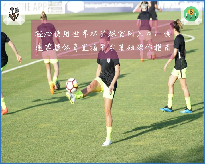 轻松使用世界杯买球官网入口，快速掌握体育直播平台基础操作指南