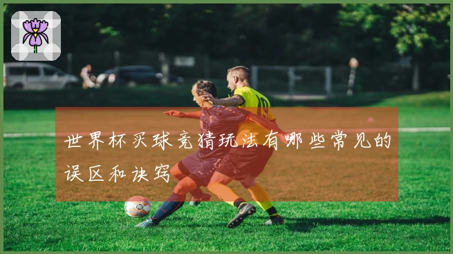 世界杯买球竞猜玩法有哪些常见的误区和诀窍