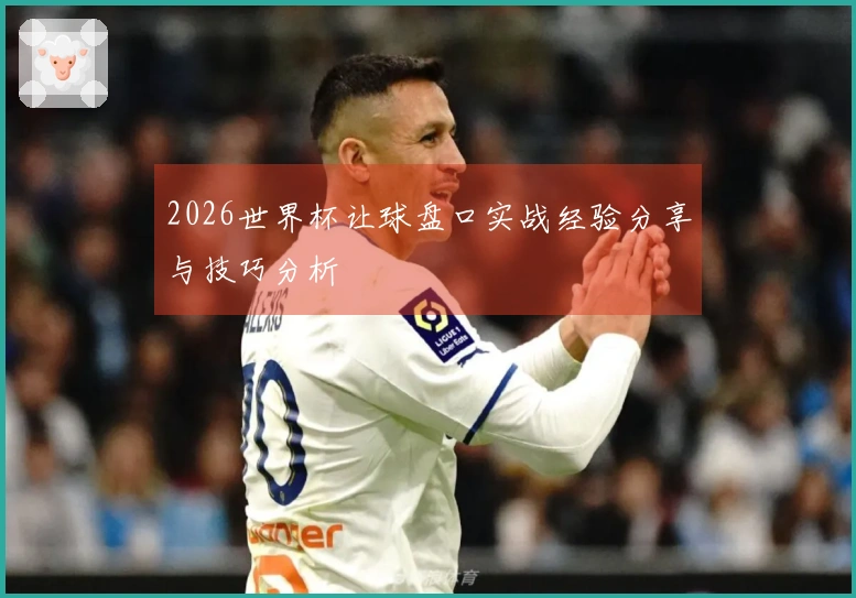 2026世界杯让球盘口实战经验分享与技巧分析