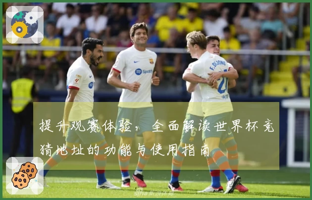 提升观赛体验,全面解读世界杯竞猜地址的功能与使用指南
