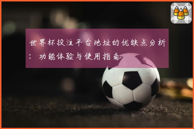 世界杯投注平台地址的优缺点分析：功能体验与使用指南