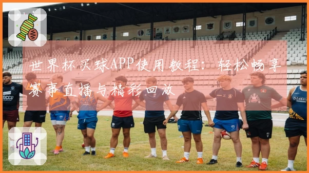 世界杯买球APP使用教程：轻松畅享赛事直播与精彩回放