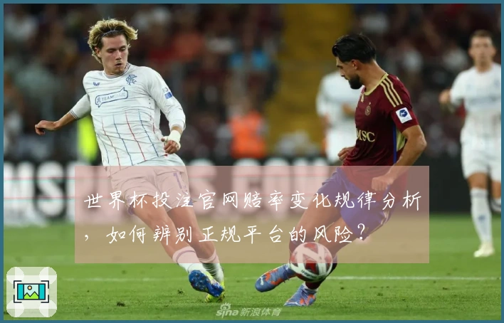 世界杯投注官网赔率变化规律分析，如何辨别正规平台的风险？