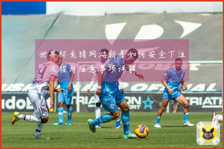 世界杯竞猜网站新手如何安全下注？流程与注意事项详解