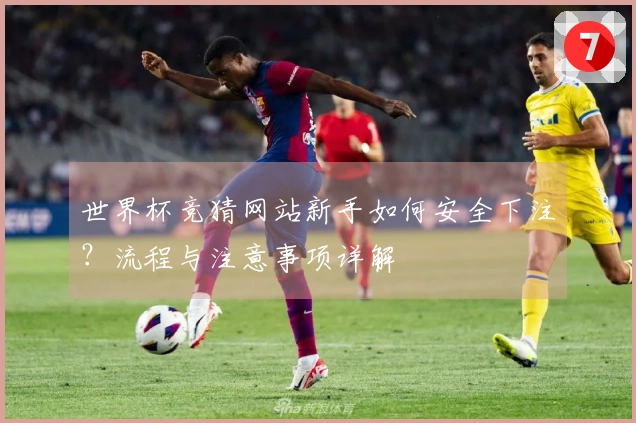 世界杯竞猜网站新手如何安全下注？流程与注意事项详解