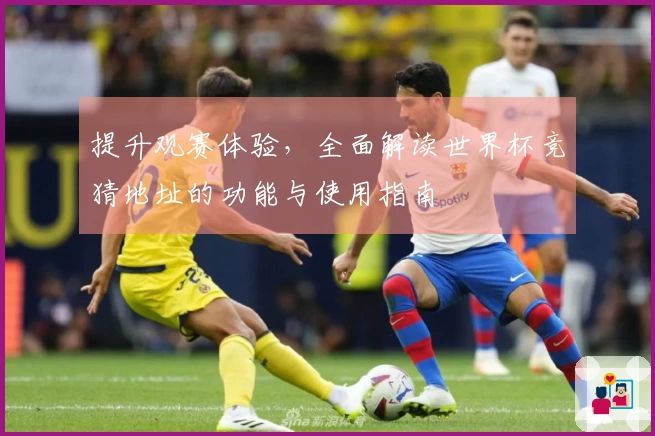 提升观赛体验，全面解读世界杯竞猜地址的功能与使用指南