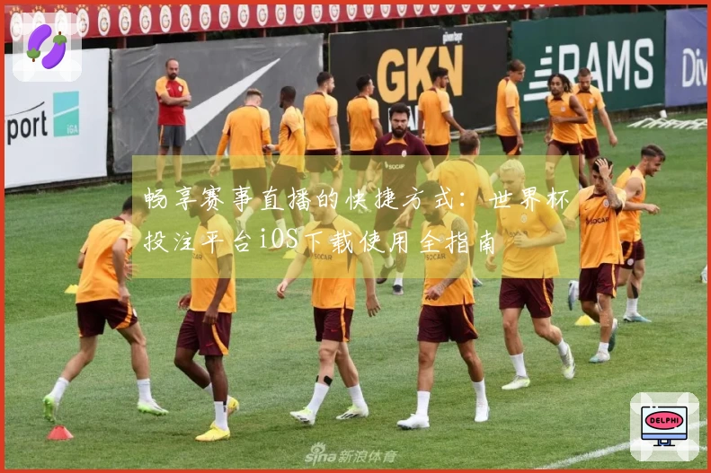 畅享赛事直播的快捷方式：世界杯投注平台iOS下载使用全指南