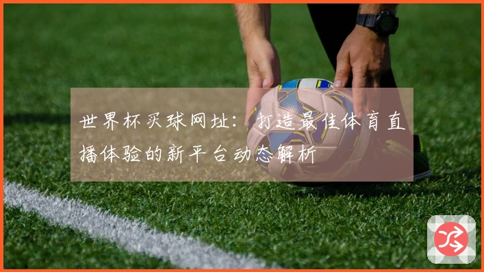 世界杯买球网址：打造最佳体育直播体验的新平台动态解析