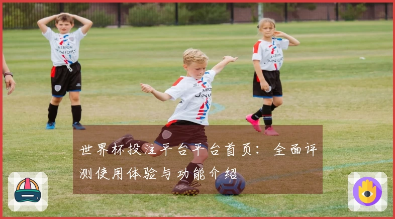 世界杯投注平台平台首页：全面评测使用体验与功能介绍